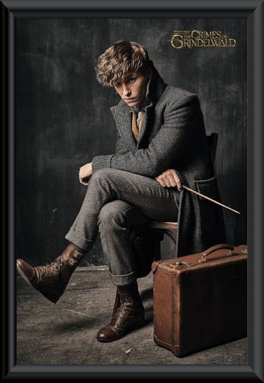 Fantastic Beasts 2 Newt Scamander Framed Poster :: Movie Memorabilia